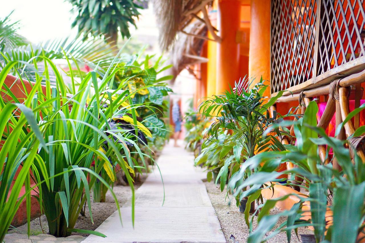 Aurinko Bungalows Sayulita Zewnętrze zdjęcie